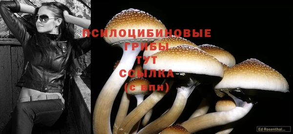 mdpv Алзамай