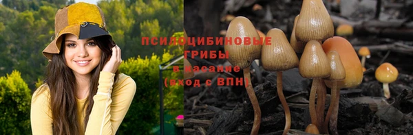 экстази Алексеевка