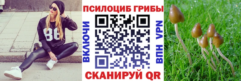 блэк спрут ссылки  Пикалёво  Псилоцибиновые грибы прущие грибы 